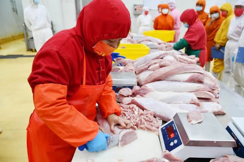 1698460392676723.jpg 640.jpg